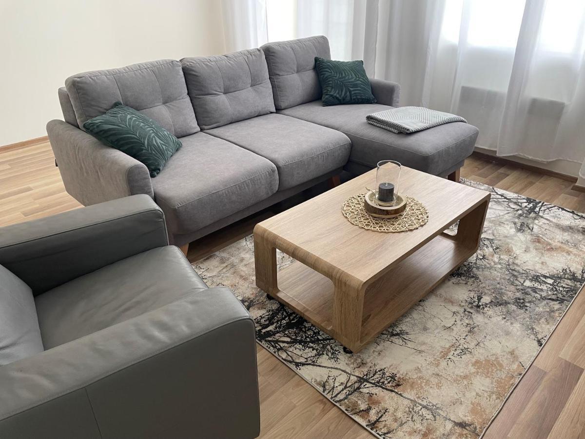 נובה מסטו נה מורבה Apartman Studnice Na Vysocine מראה חיצוני תמונה