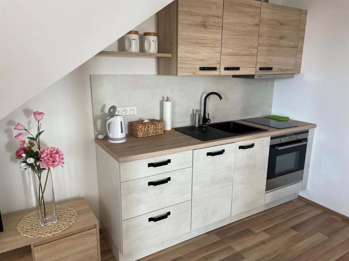 נובה מסטו נה מורבה Apartman Studnice Na Vysocine מראה חיצוני תמונה